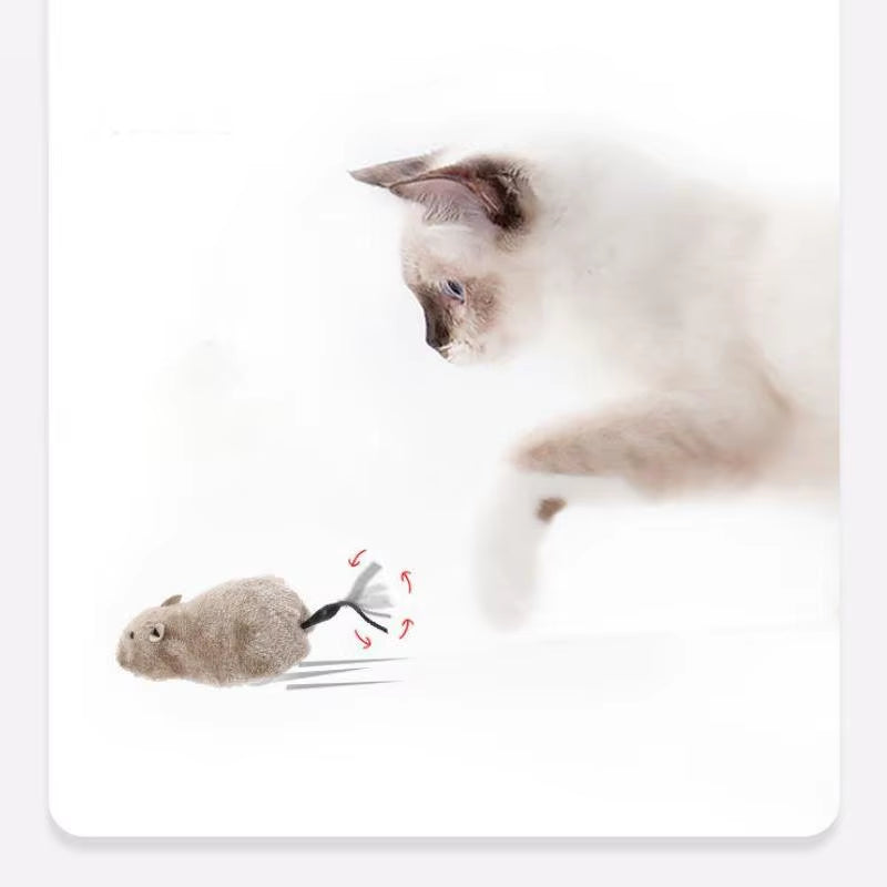 Souris En Peluche Réaliste Et Amusante, Jouet Pour Chats, Chiens, Queue De Souris, Animaux De Compagnie, Enfants, Couleur Aléatoire, 1 Pièce