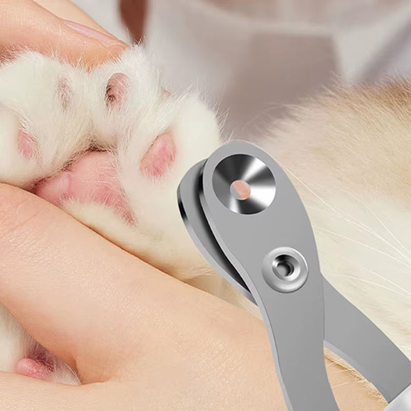 Ciseaux À Ongles Pour Chat À Trou Circulaire, Coupe-Ongles Professionnel Pour Chien De Compagnie, Coupe-Griffes D'Orteils, Fournitures De Toilettage Pour Animaux De Compagnie, Produits Pour Petits Chiens