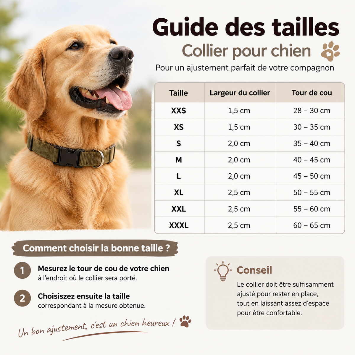Boucle et attache résistante du collier chien en nylon durable