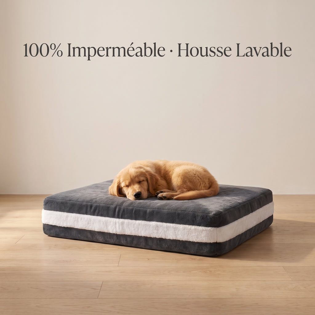 Lit orthopédique pour chien