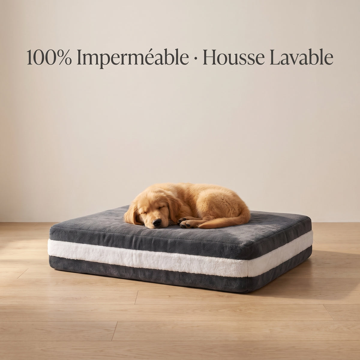 Lit orthopédique pour chien