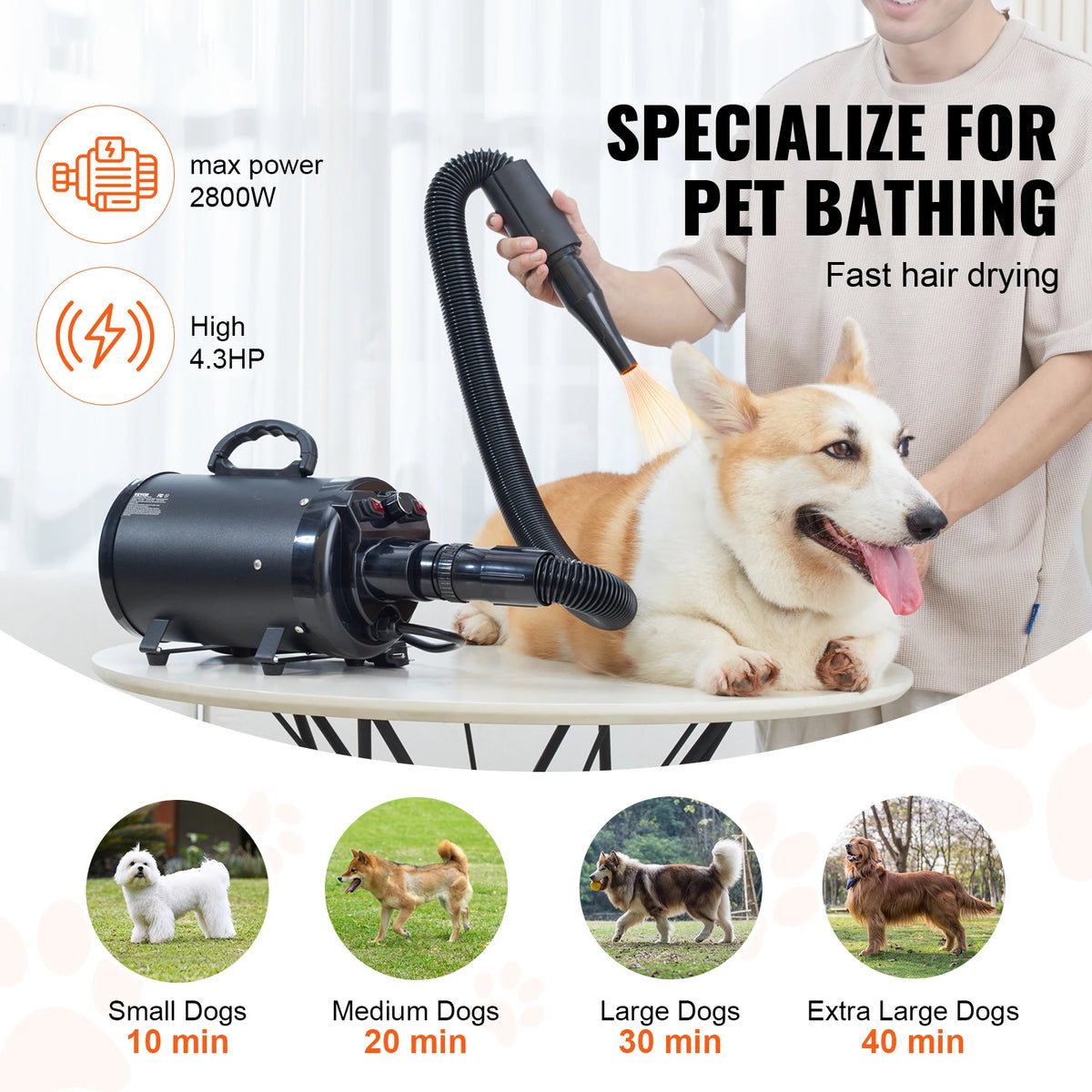 2000W/2.7HP Sèche-Cheveux Pour Chien Contrôle De La Température À Vitesse Réglable Avec 4 Buses Et Tuyau Extensible Pour Le Toilettage Des Poils D'Animaux