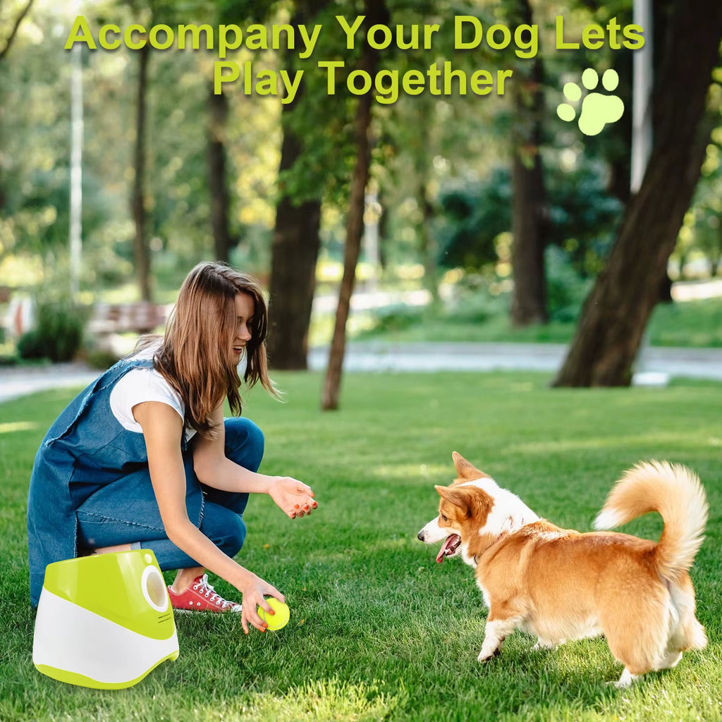 Lanceur De Tennis Automatique Pour Animaux De Compagnie, Jouets Pour Chiens, Jouet De Chasse Pour Chiens, Flipper, Lancer Coule Amusant, Catapulte Aste Avec 3 Balles