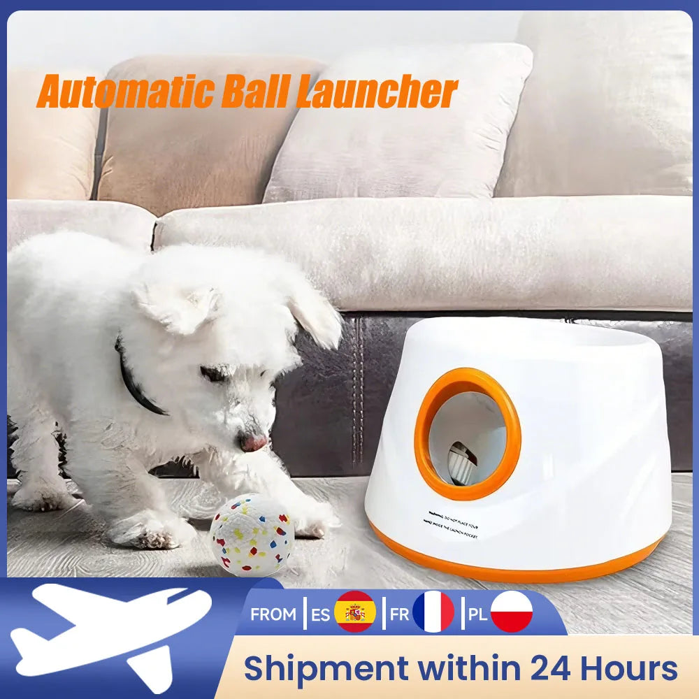 Lanceur de balles automatique intérieur/extérieur pour chien