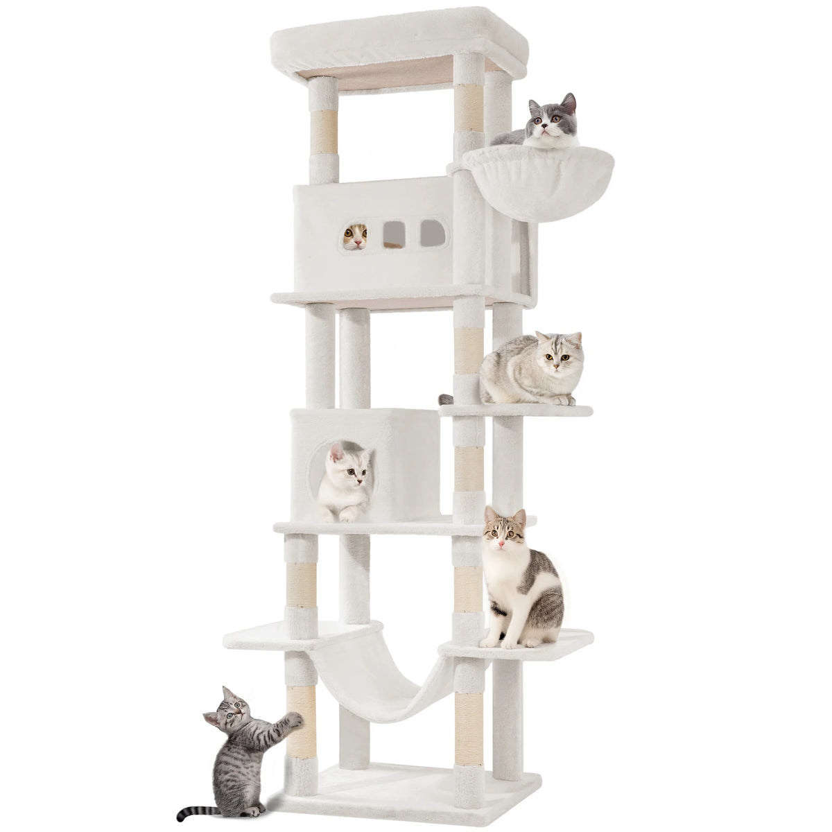 Arbre à chat XXL 210cm multi-niveaux