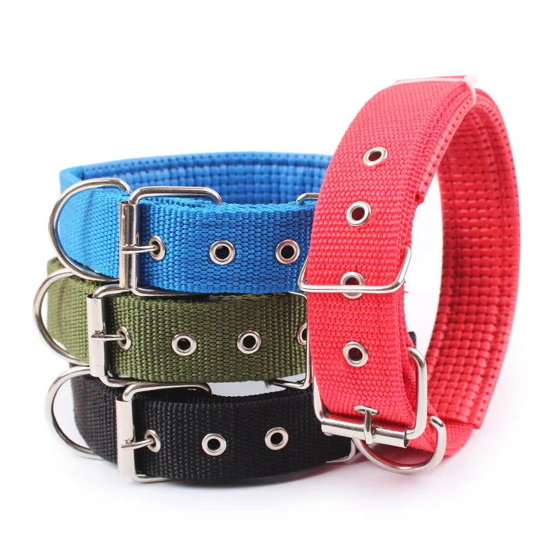 Collier basique en nylon pour chien