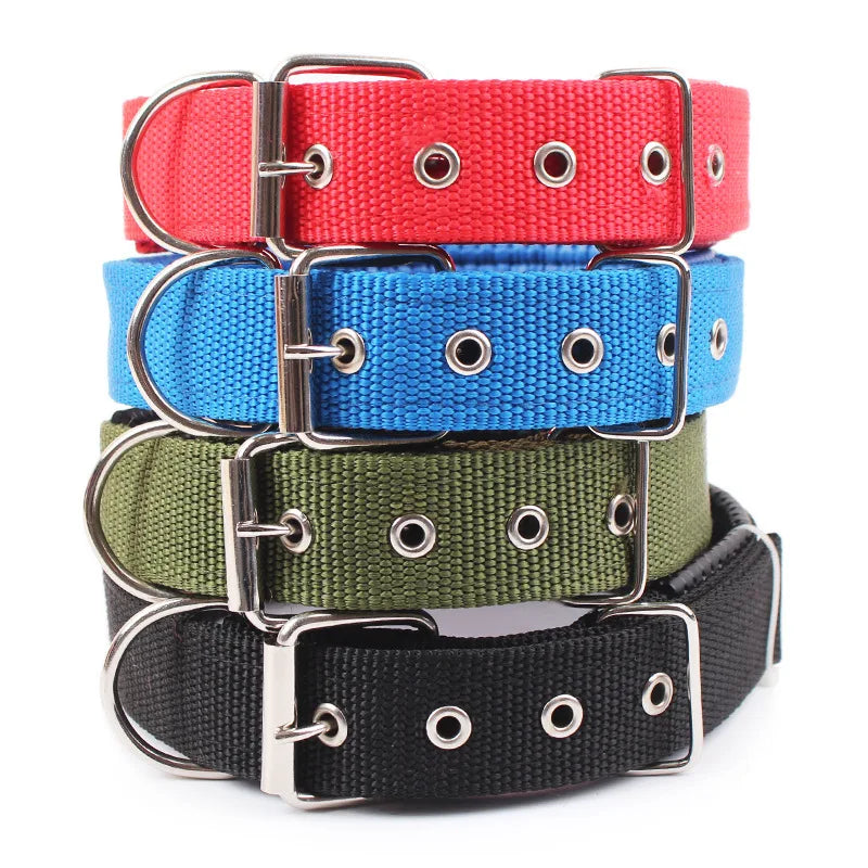 Collier basique en nylon pour chien