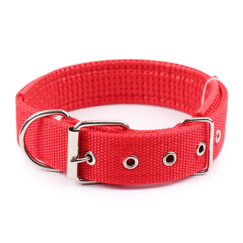 Collier basique en nylon pour chien