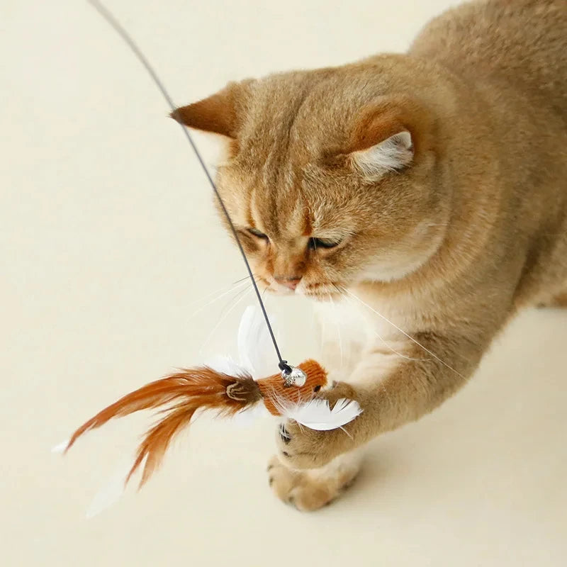 Canne à plumes interactive avec grelot pour chat
