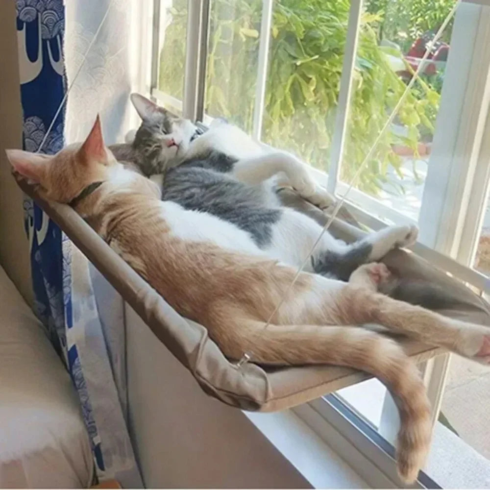 Hamac suspendu vitre pour chat