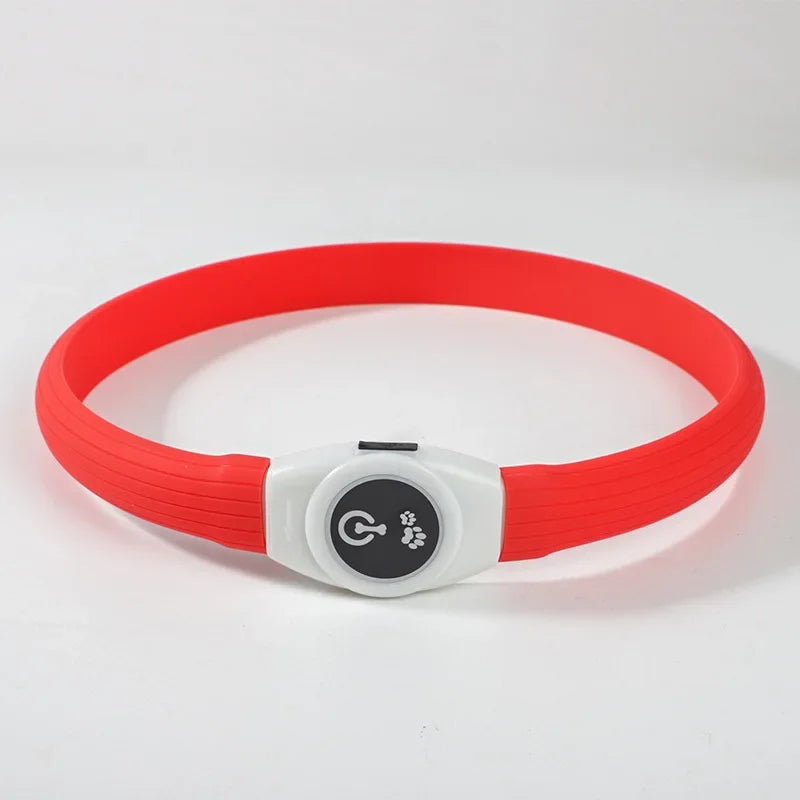 Collier lumineux LED rechargeable pour chien
