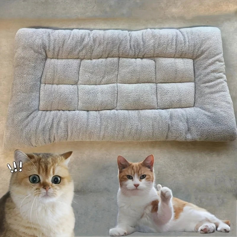 Canapé peluche ultra doux pour chien