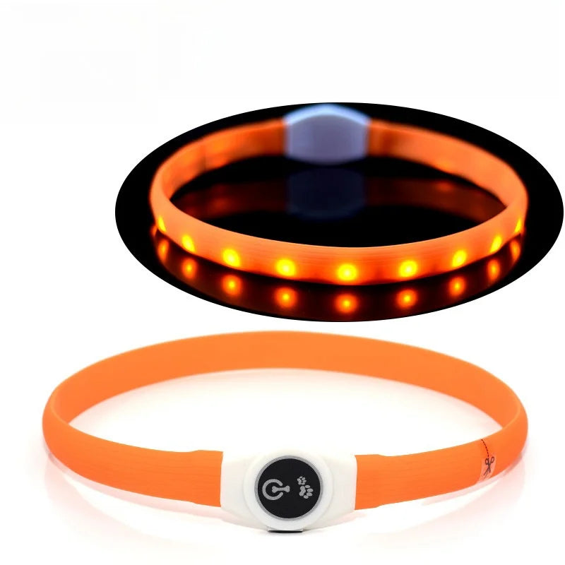 Collier lumineux LED rechargeable pour chien