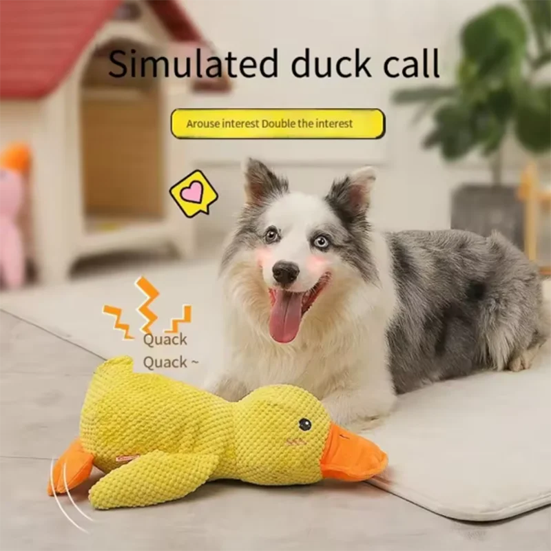 Peluche canard interactive anti-ennui pour chien
