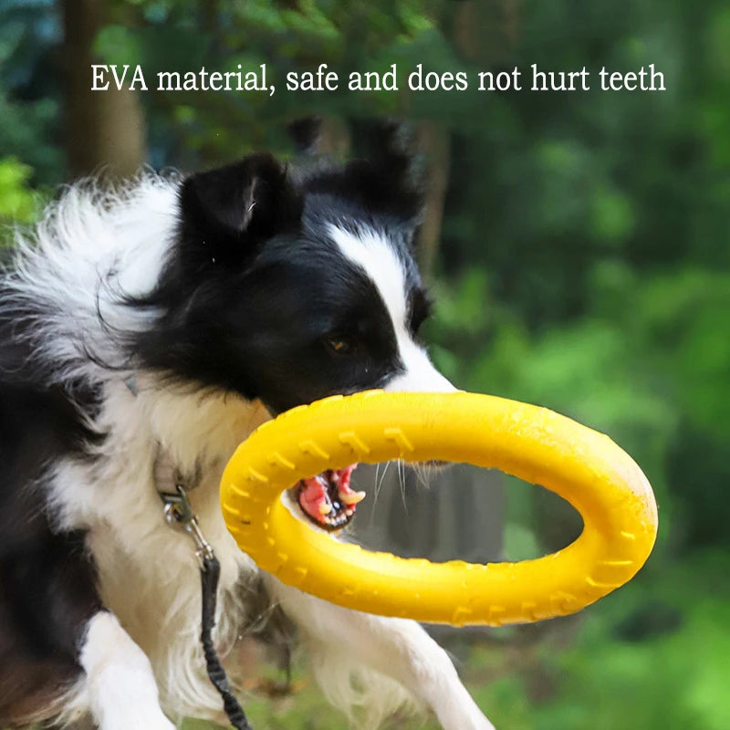 Lot de 4 jouets EVA résistants pour chien (frisbee, balles, anneau)