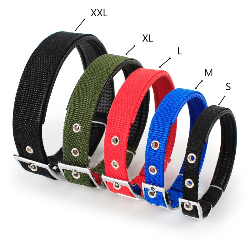 Collier basique en nylon pour chien