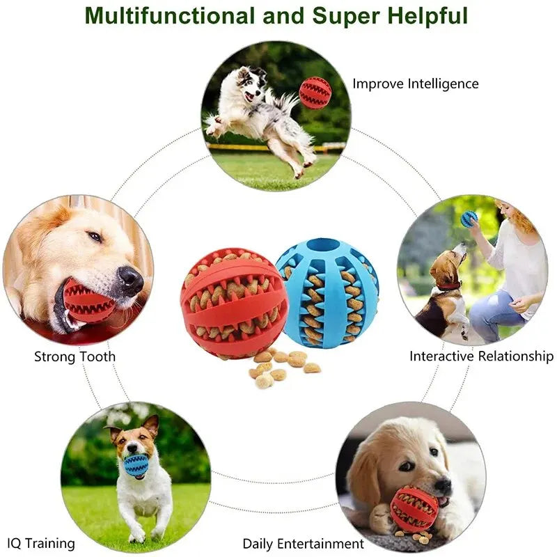 Balle à mâcher et nettoyage dentaire pour chien