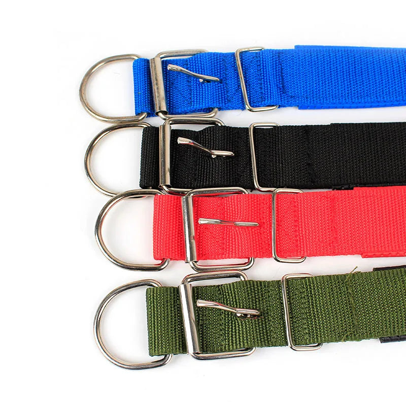 Collier basique en nylon pour chien