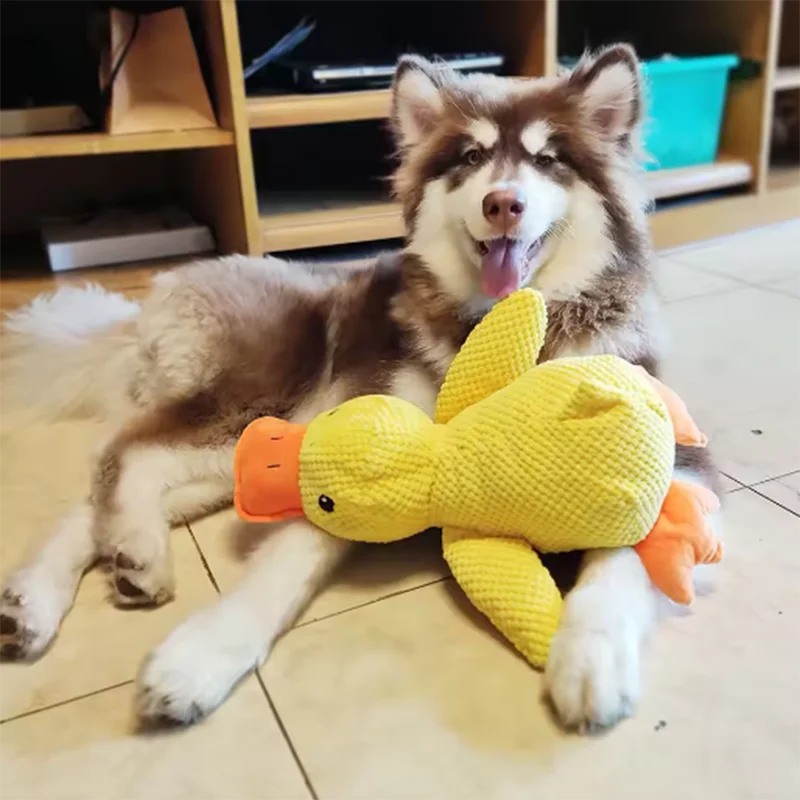 Peluche canard interactive anti-ennui pour chien