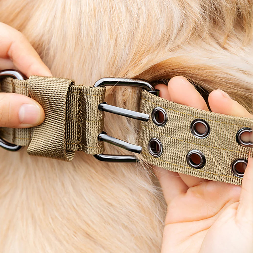 Collier tactique militaire réglable pour chien