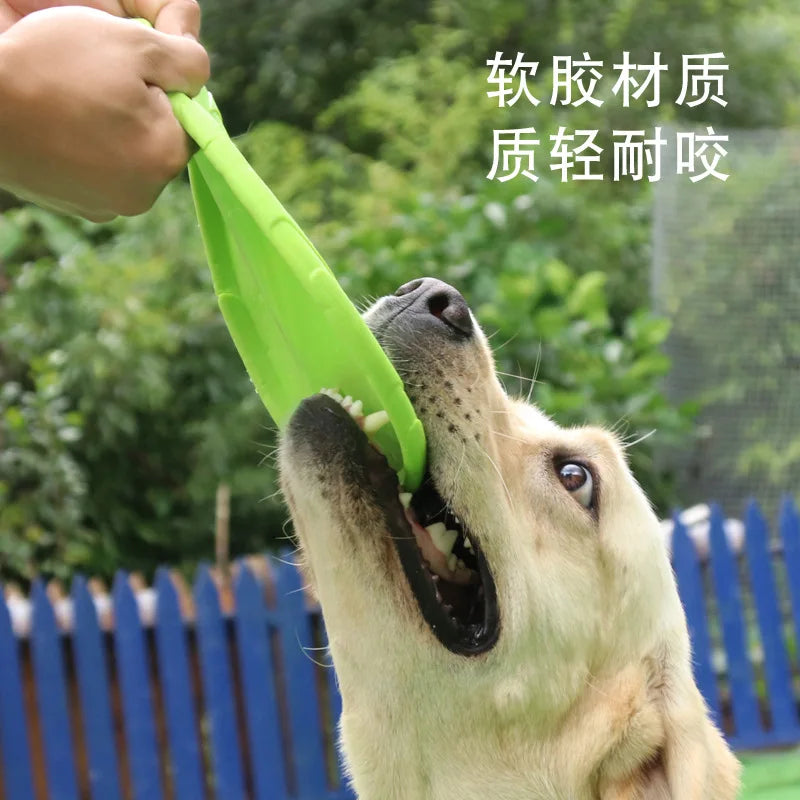 Frisbee flottant en caoutchouc pour chien