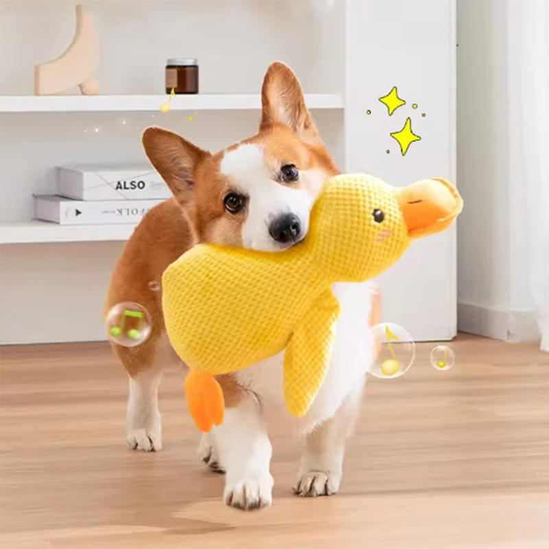 Peluche canard interactive anti-ennui pour chien