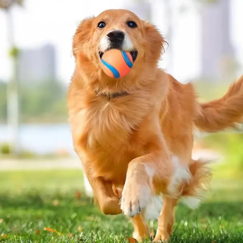 Balle rebondissante en caoutchouc pour chien