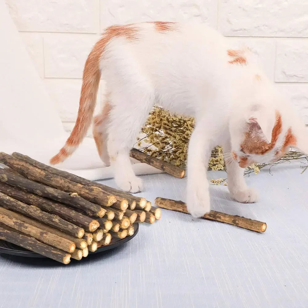 Bâtons de matatabi naturel pour chat (lot de 15)