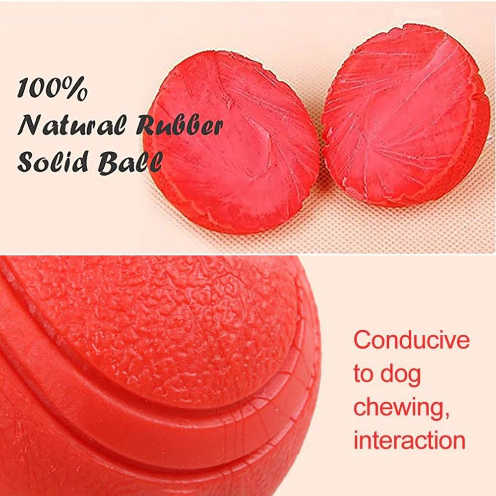 Balle solide élastique pour chien et chat