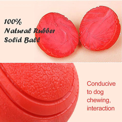 Balle solide élastique pour chien et chat