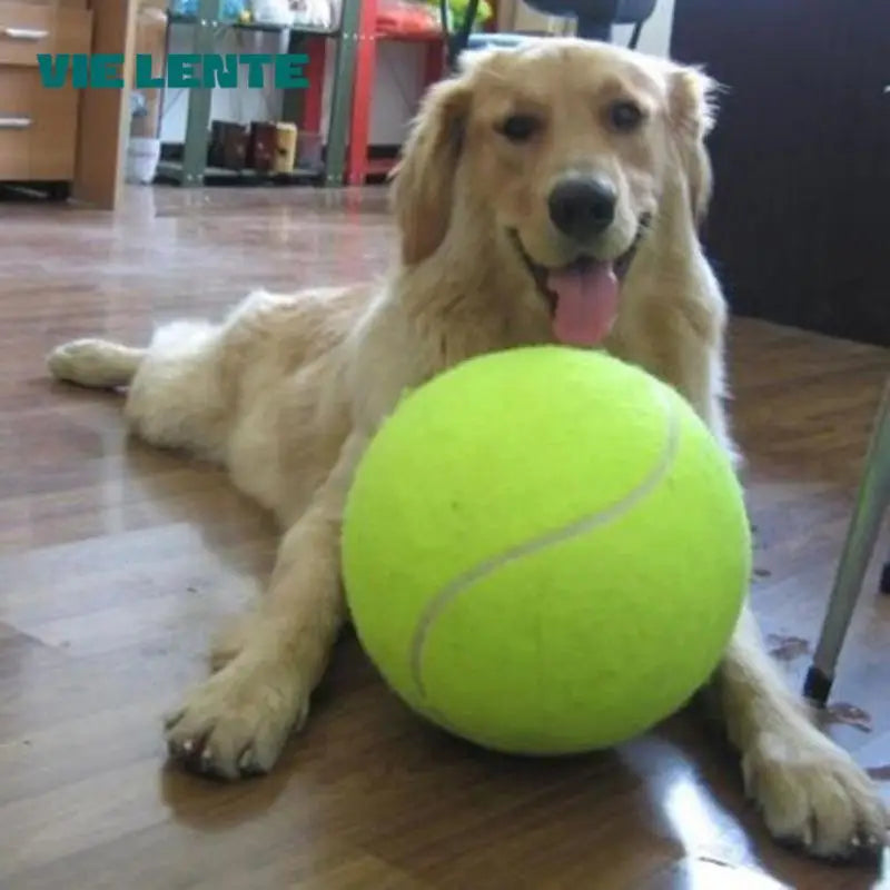 Balle tennis géante pour chien