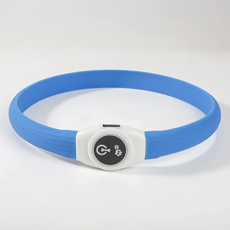 Collier lumineux LED rechargeable pour chien