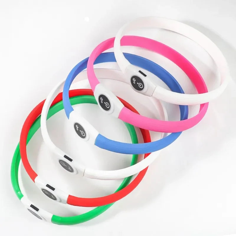 Collier lumineux LED rechargeable pour chien