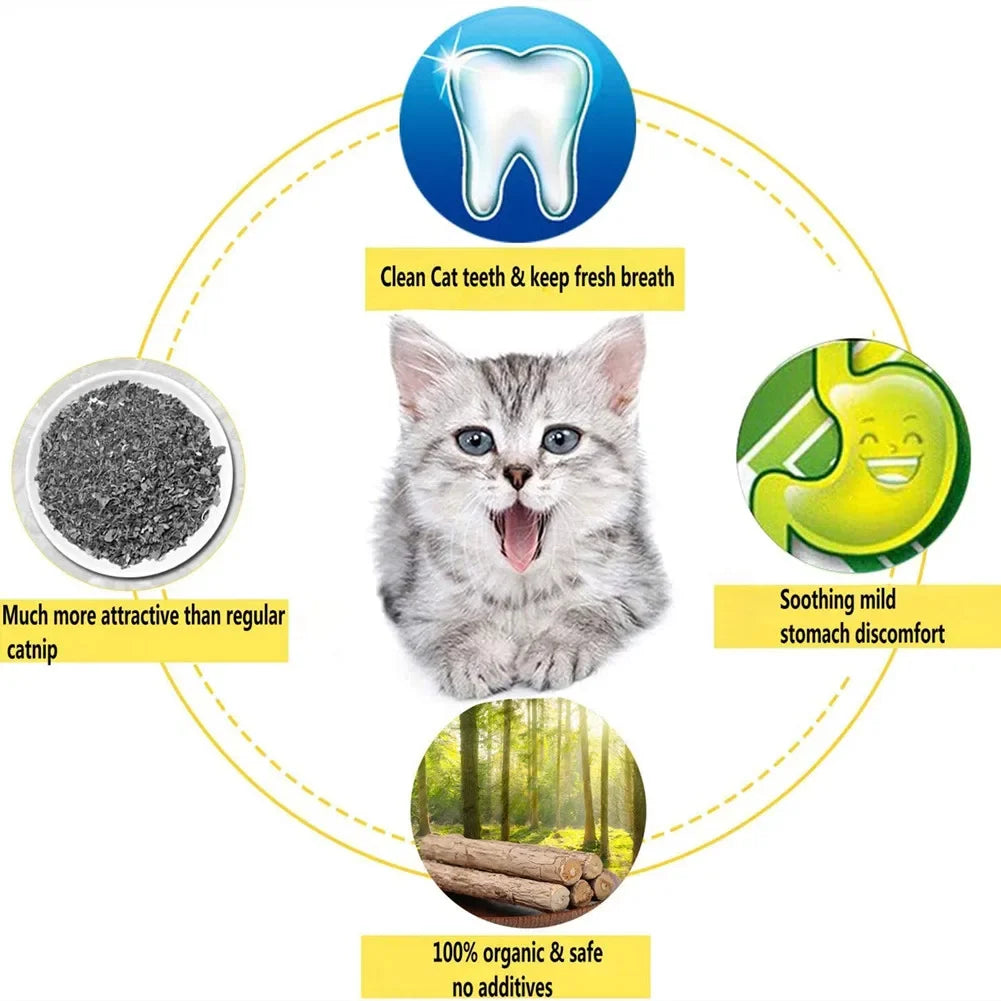 Bâtons de matatabi naturel pour chat (lot de 15)