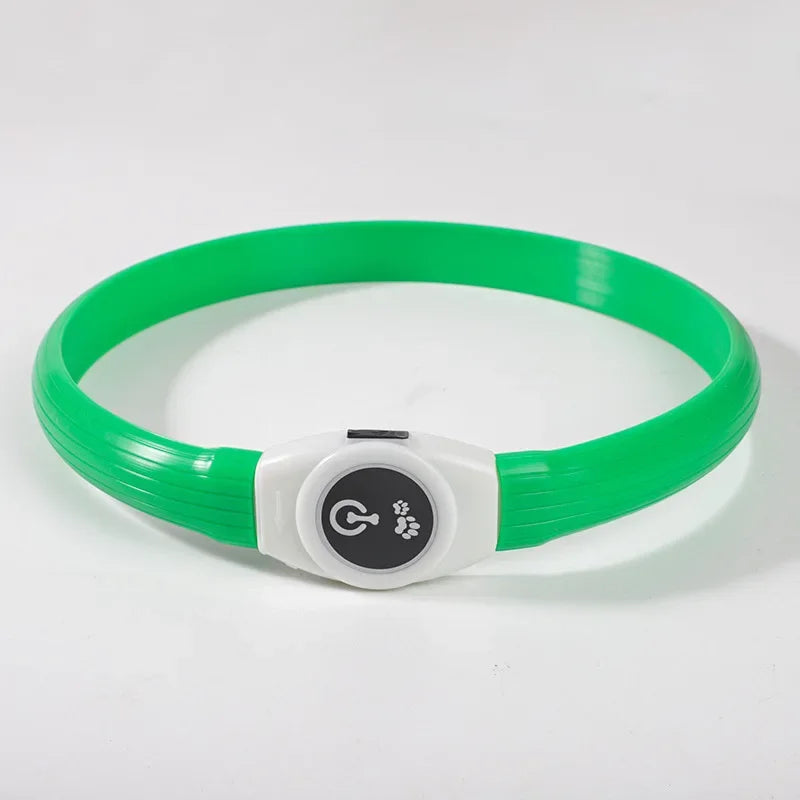 Collier lumineux LED rechargeable pour chien