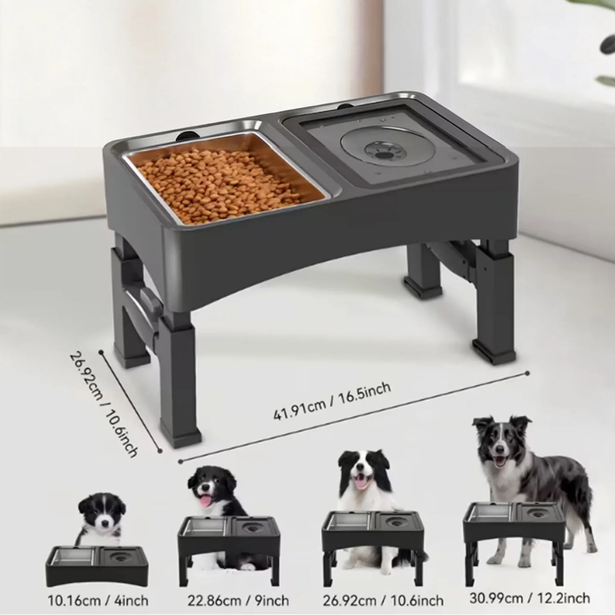 Gamelles surélevées 2-en-1 réglables pour chien