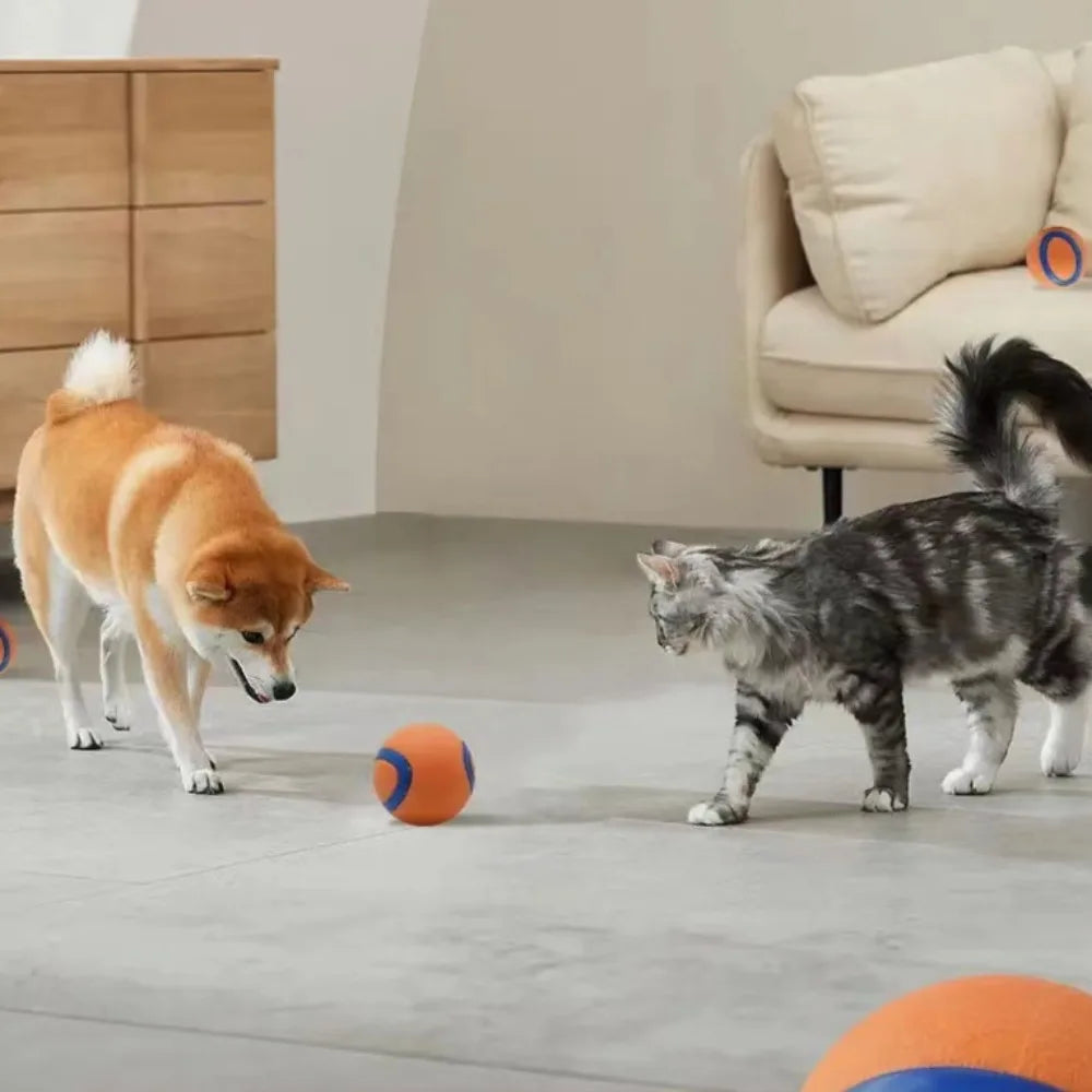 Balle rebondissante en caoutchouc pour chien