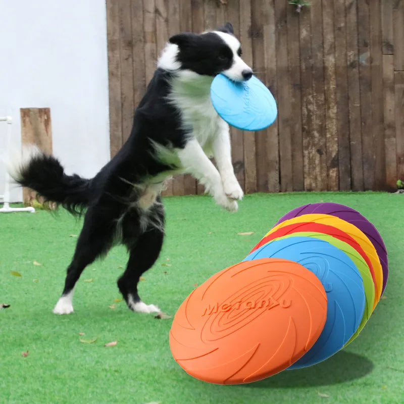 Frisbee flottant en caoutchouc pour chien