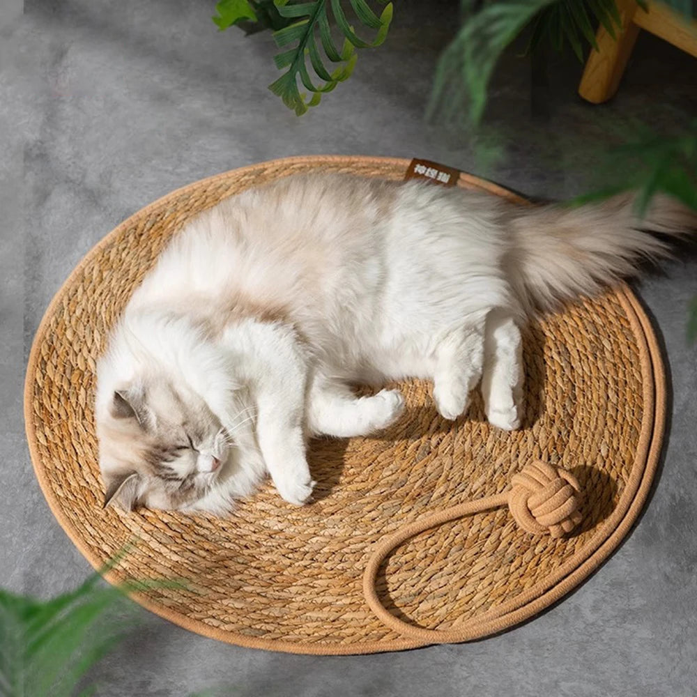 Griffoir tapis en rotin pour chat