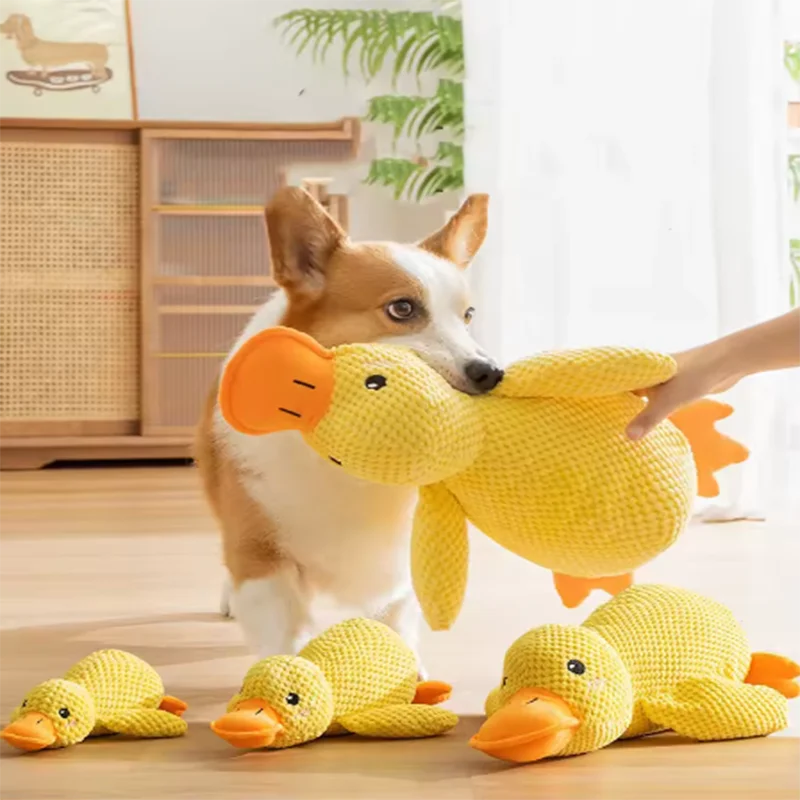 Peluche canard interactive anti-ennui pour chien