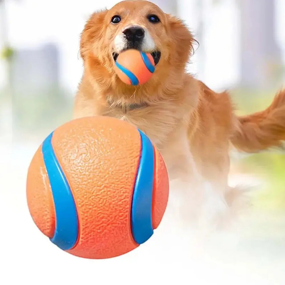 Balle rebondissante en caoutchouc pour chien