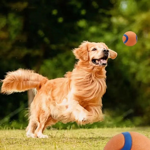 Balle rebondissante en caoutchouc pour chien