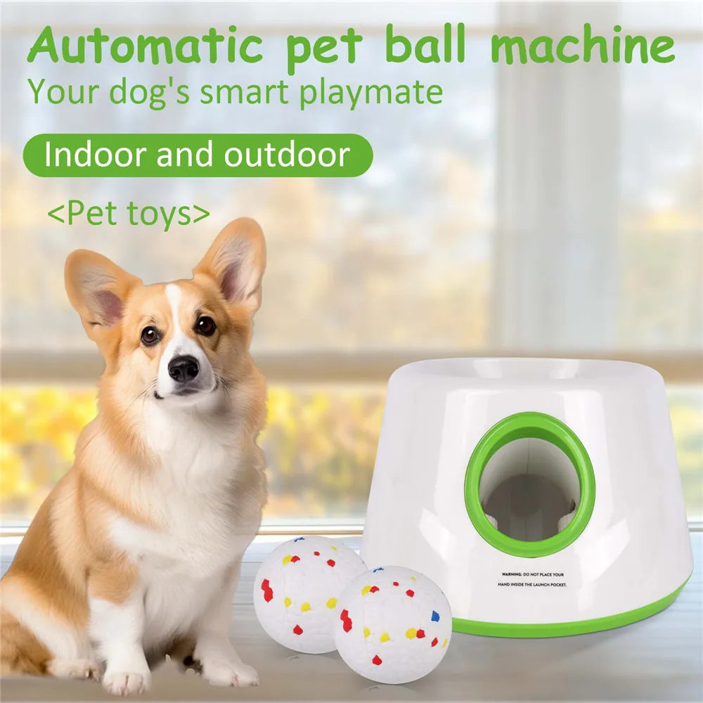 Lanceur de balles automatique intérieur/extérieur pour chien