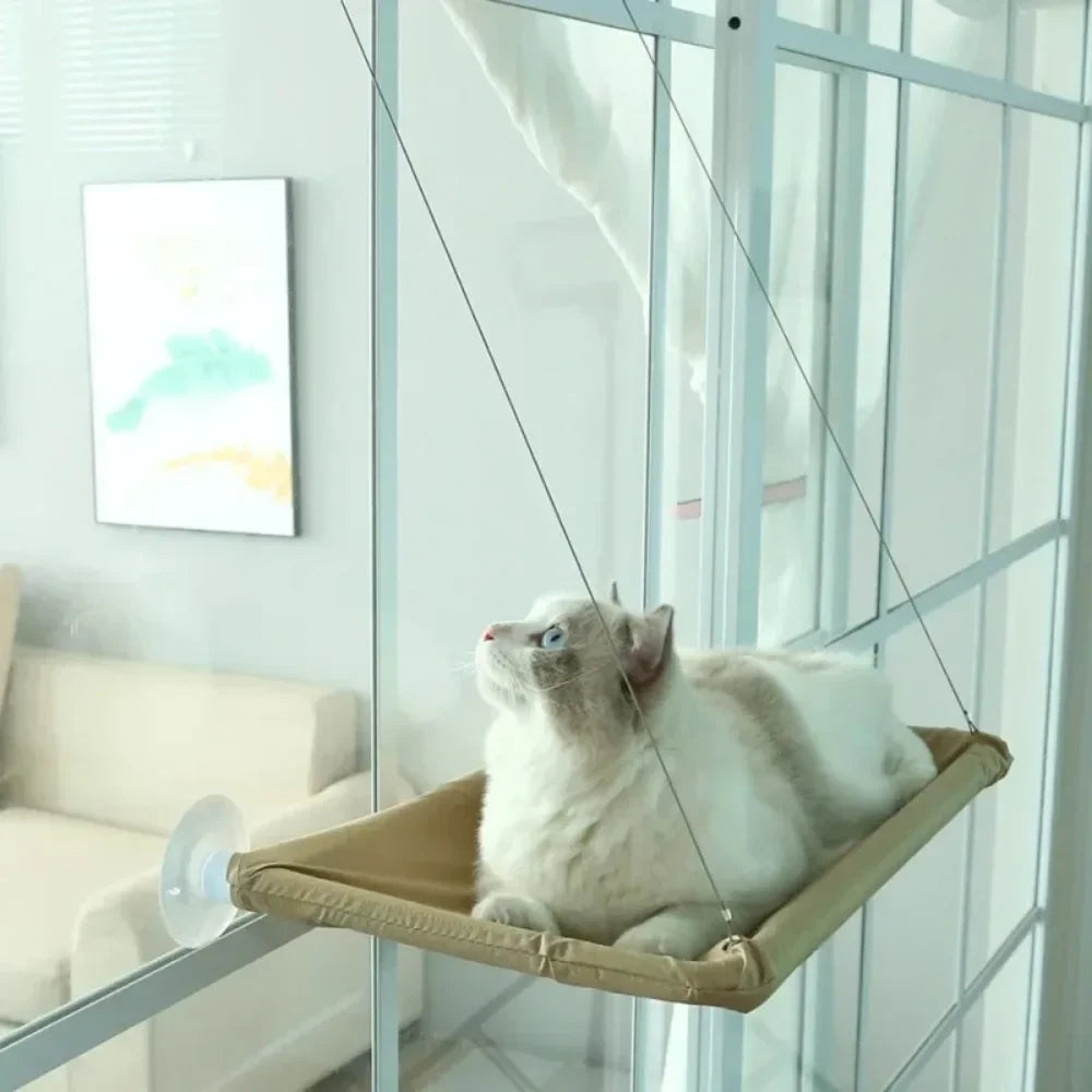 Hamac suspendu vitre pour chat