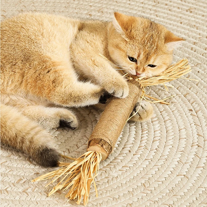 Bâtons à mâcher en bois naturel pour chat (lot de 15)