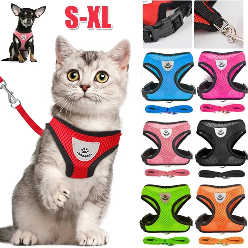 Harnais respirant avec laisse pour petit chien et chat