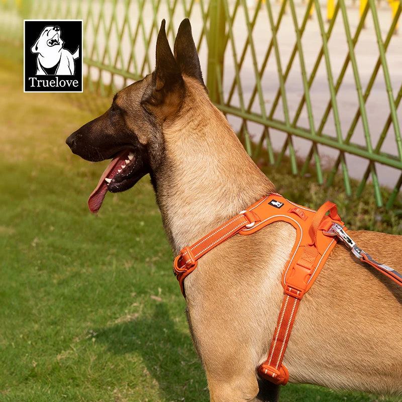 Harnais anti-traction réfléchissant pour chien