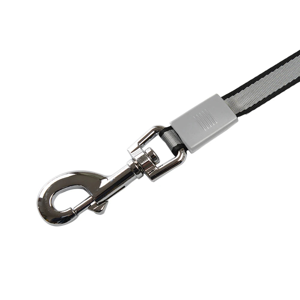 Laisse rétractable longue portée pour grand chien