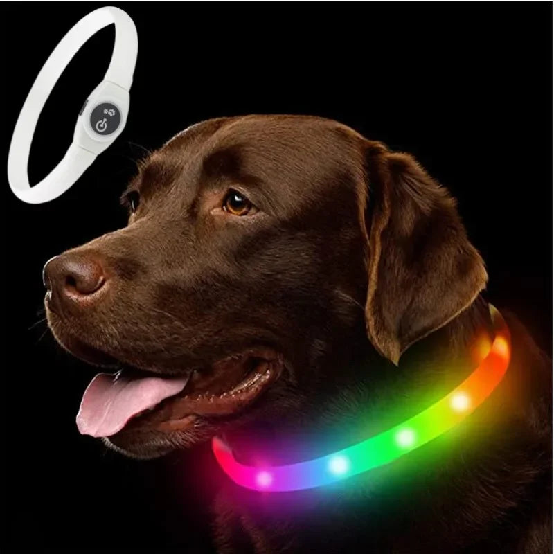 Collier lumineux LED rechargeable pour chien