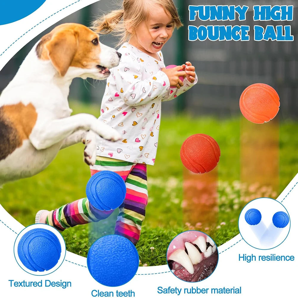 Balle solide élastique pour chien et chat